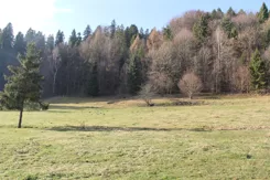 REMAX-3091/2680/OGS - zdjęcie nr 0