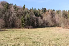 REMAX-3091/2680/OGS - zdjęcie nr 2