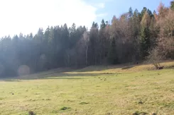 REMAX-3091/2680/OGS - zdjęcie nr 3