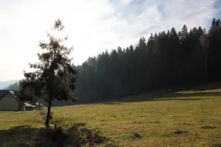 REMAX-3091/2680/OGS - zdjęcie nr 4