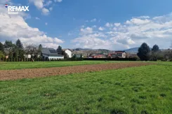 REMAX-6171/3123/OGS - zdjęcie nr 4