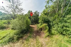REMAX-258-GS-INVEST - zdjęcie nr 4