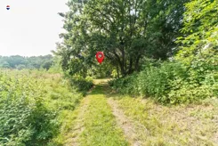REMAX-257-GS-INVEST - zdjęcie nr 3