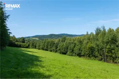 REMAX-355-GS-INVEST - zdjęcie nr 0