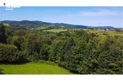 REMAX-355-GS-INVEST - zdjęcie nr 2