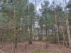 REMAX-1866/4565/OGS - zdjęcie nr 2