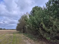 REMAX-1866/4565/OGS - zdjęcie nr 3