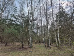 REMAX-1866/4565/OGS - zdjęcie nr 4