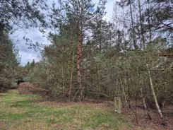REMAX-1867/4565/OGS - zdjęcie nr 0