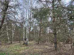 REMAX-1867/4565/OGS - zdjęcie nr 2