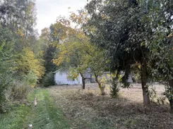 REMAX-11-GS-4c0MfJ5ZJk - zdjęcie nr 2
