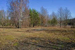 REMAX-1884/2037/OGS - zdjęcie nr 3