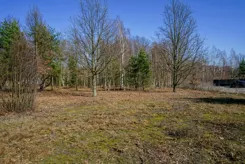REMAX-1887/2037/OGS - zdjęcie nr 3