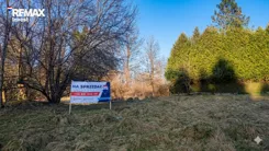 REMAX-6102/3123/OGS - zdjęcie nr 0