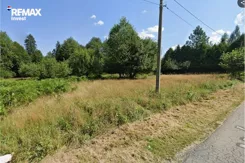 REMAX-6102/3123/OGS - zdjęcie nr 3