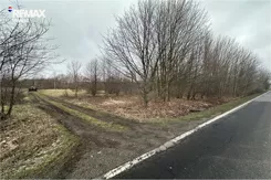 REMAX-5560/3123/OGS - zdjęcie nr 2