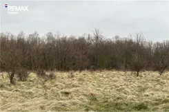 REMAX-5716/3123/OGS - zdjęcie nr 3