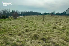 REMAX-6166/3123/OGS - zdjęcie nr 1