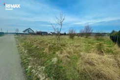 REMAX-6166/3123/OGS - zdjęcie nr 3