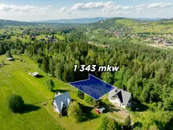 REMAX-12-GS-DUO001 - zdjęcie nr 1
