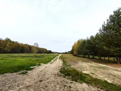 REMAX-173-GS-BEST - zdjęcie nr 4