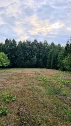 REMAX-934/3992/OGS - zdjęcie nr 1