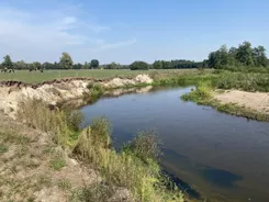 REMAX-94-GS-CITY - zdjęcie nr 2