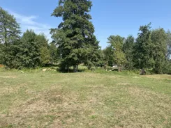 REMAX-94-GS-CITY - zdjęcie nr 4