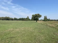 REMAX-167-GS-CITY - zdjęcie nr 0