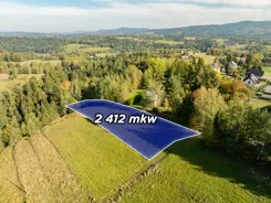 REMAX-233-GS-DUO001 - zdjęcie nr 0