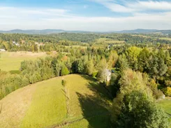 REMAX-233-GS-DUO001 - zdjęcie nr 2