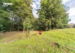 REMAX-6087/3123/OGS - zdjęcie nr 4