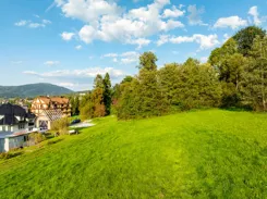 REMAX-3004/2680/OGS - zdjęcie nr 0