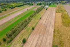 REMAX-PEAK-I-494/3061/OGS - zdjęcie nr 1