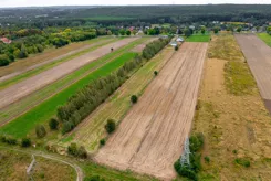 REMAX-PEAK-I-494/3061/OGS - zdjęcie nr 2