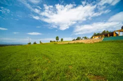 REMAX-3247/2680/OGS - zdjęcie nr 4