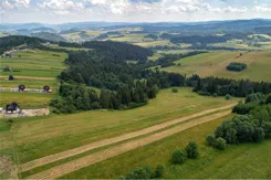 REMAX-1667/2680/OGS - zdjęcie nr 1