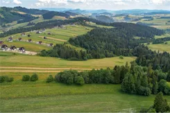 REMAX-1667/2680/OGS - zdjęcie nr 3