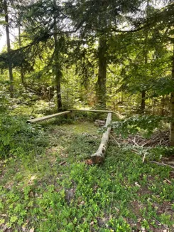 REMAX-396-GS-INVEST - zdjęcie nr 2