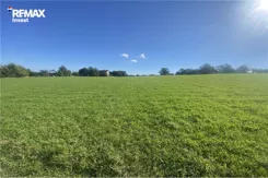 REMAX-6183/3123/OGS - zdjęcie nr 3