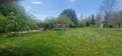 REMAX-1-GS-bepgIsSJbJ - zdjęcie nr 3