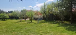 REMAX-1-GS-bepgIsSJbJ - zdjęcie nr 4