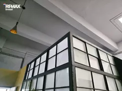 REMAX-2045/3123/OLW - zdjęcie nr 3