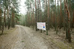 REMAX-87/5569/OI - zdjęcie nr 4
