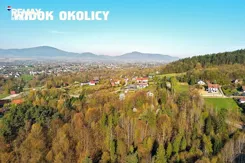 REMAX-817/3123/OLS - zdjęcie nr 3