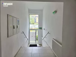 REMAX-2027/3123/OLW - zdjęcie nr 0