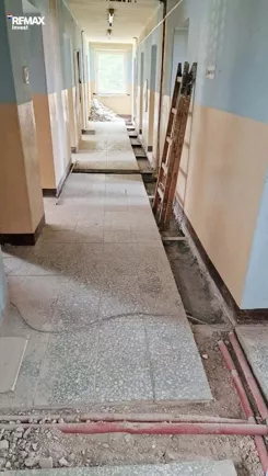 REMAX-2027/3123/OLW - zdjęcie nr 4