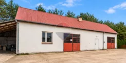 REMAX-36-IS-bepgIsSJbJ - zdjęcie nr 1