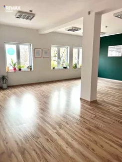 REMAX-2049/3123/OLW - zdjęcie nr 0