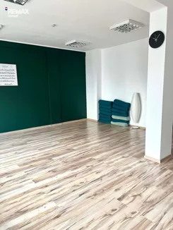 REMAX-2049/3123/OLW - zdjęcie nr 1